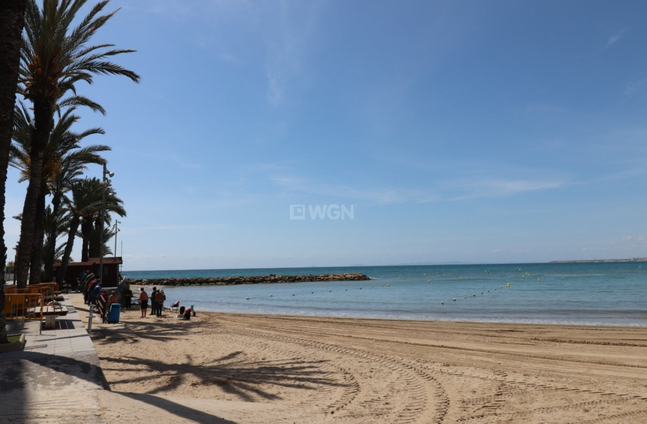 Odsprzedaż - Reklama w telewizji - Torrevieja - Playa del Cura