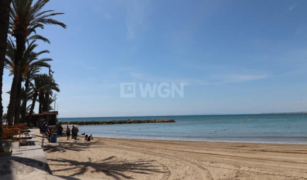 Odsprzedaż - Reklama w telewizji - Torrevieja - Playa del Cura