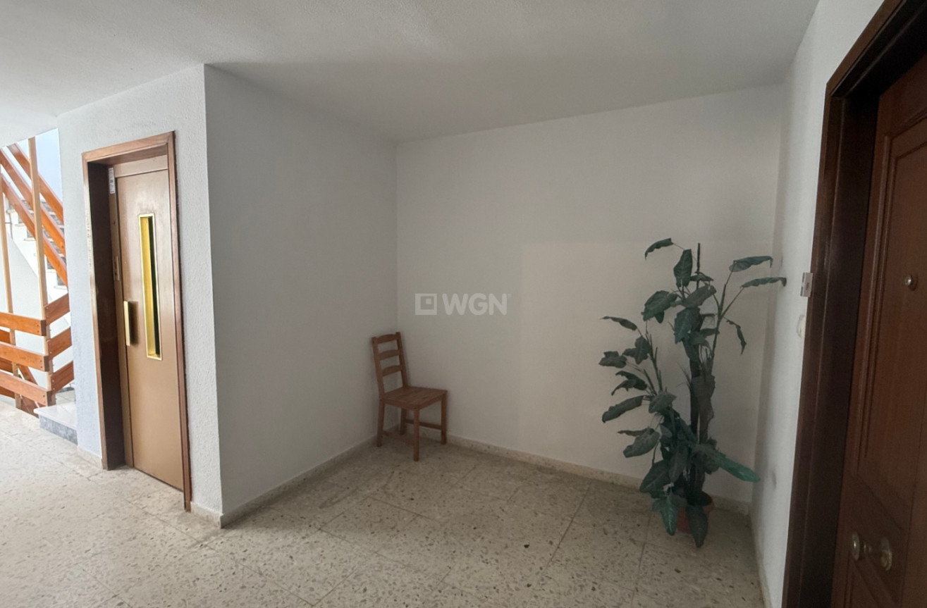 Odsprzedaż - Mieszkanie w bloku - Torrevieja - Costa Blanca