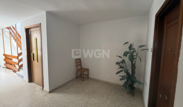 Odsprzedaż - Mieszkanie w bloku - Torrevieja - Costa Blanca