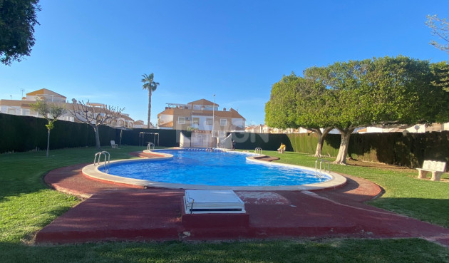 Reventa - Apartamento / piso - Torrevieja - Costa Blanca