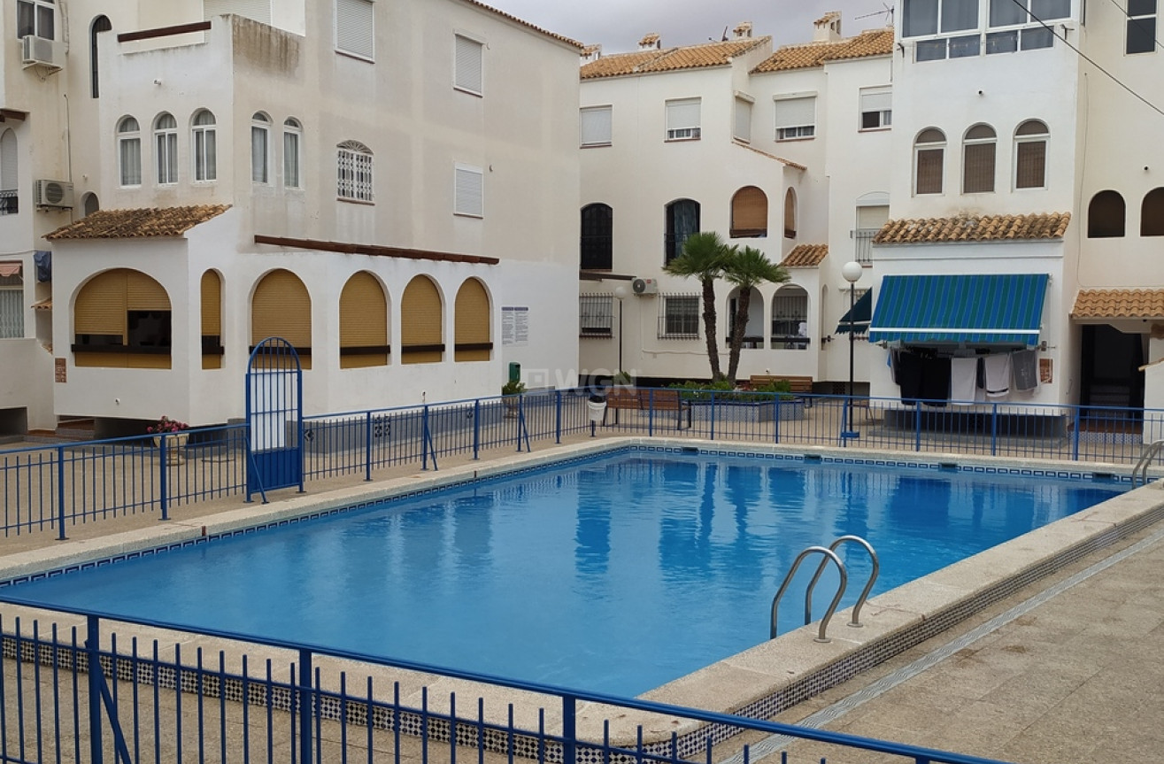 Resale - Apartment / flat - Torrevieja - LOS NAUFRAGOS PLAYA