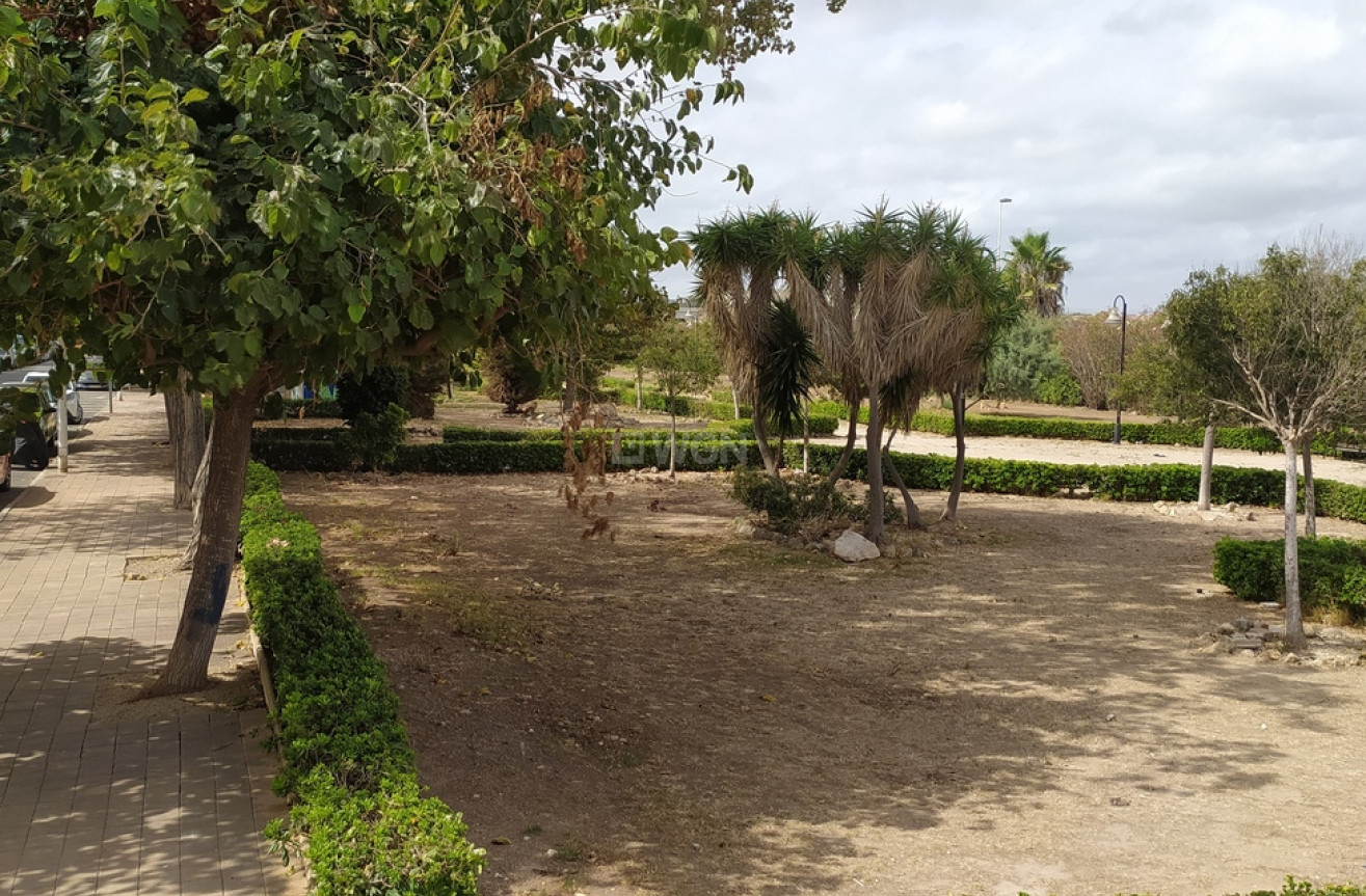 Resale - Apartment / flat - Torrevieja - LOS NAUFRAGOS PLAYA