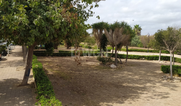 Resale - Apartment / flat - Torrevieja - LOS NAUFRAGOS PLAYA