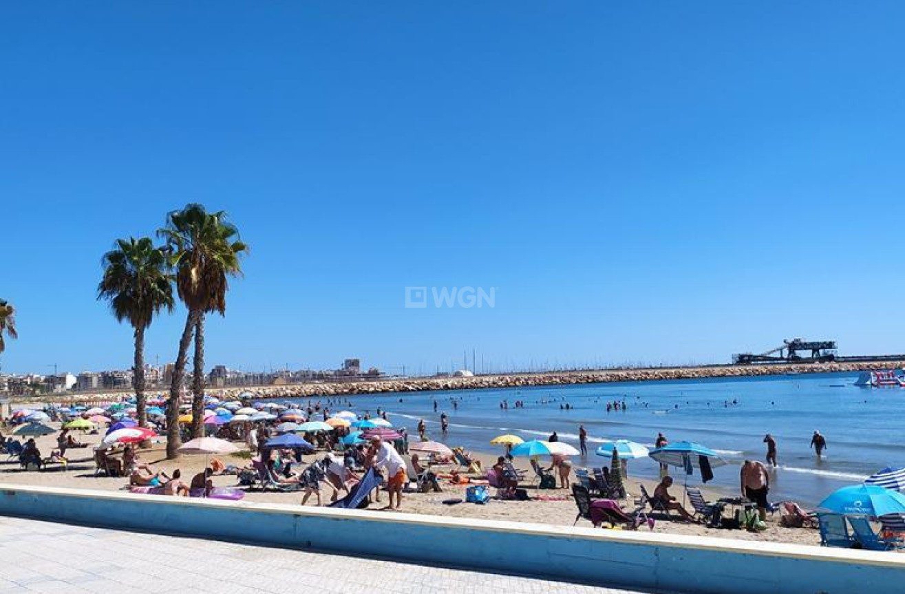 Resale - Apartment / flat - Torrevieja - LOS NAUFRAGOS PLAYA