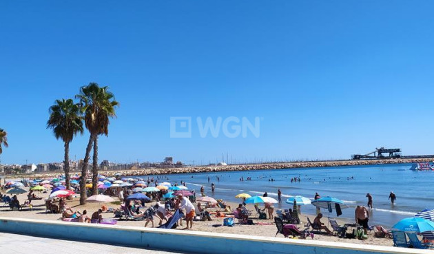 Resale - Apartment / flat - Torrevieja - LOS NAUFRAGOS PLAYA