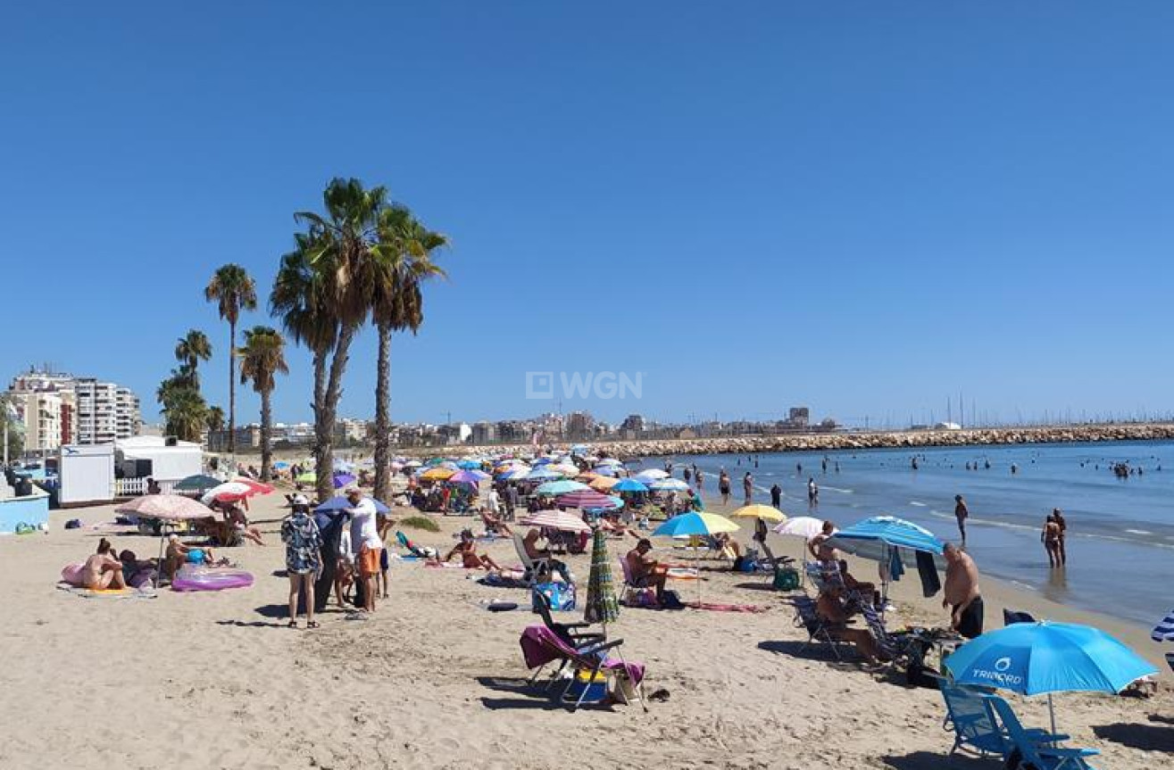 Resale - Apartment / flat - Torrevieja - LOS NAUFRAGOS PLAYA