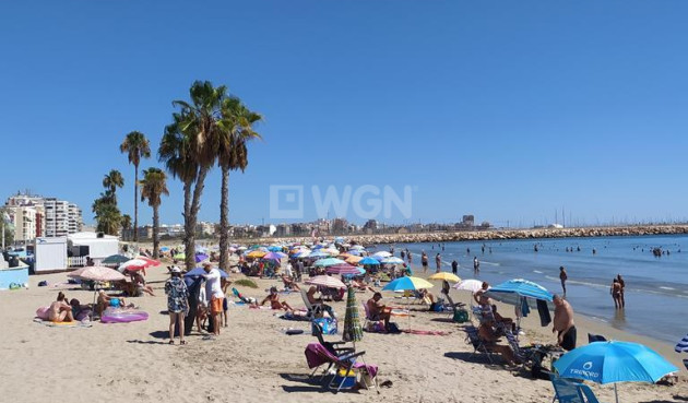 Resale - Apartment / flat - Torrevieja - LOS NAUFRAGOS PLAYA