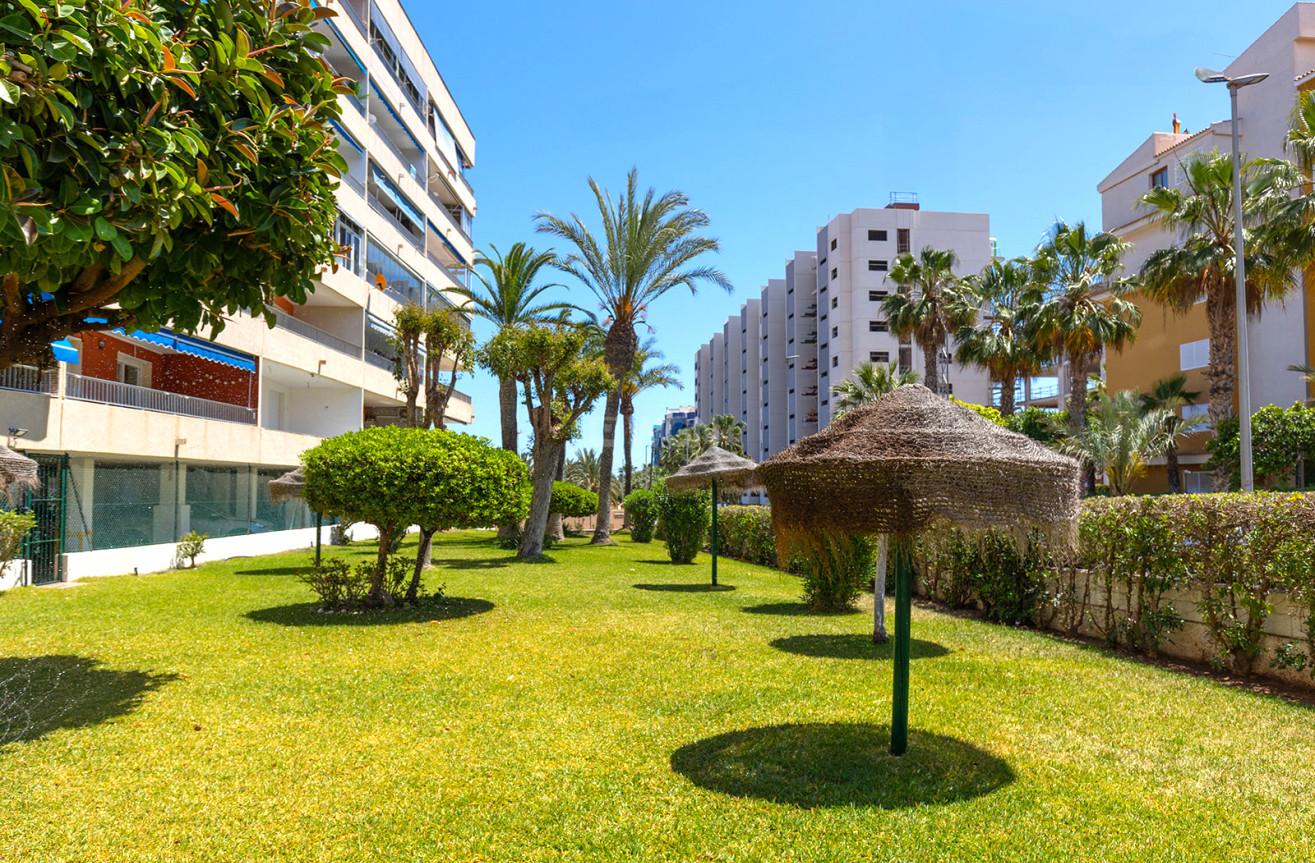 Reventa - Apartamento / piso - Torrevieja - Costa Blanca