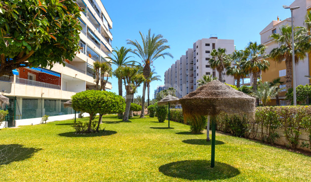 Reventa - Apartamento / piso - Torrevieja - Costa Blanca