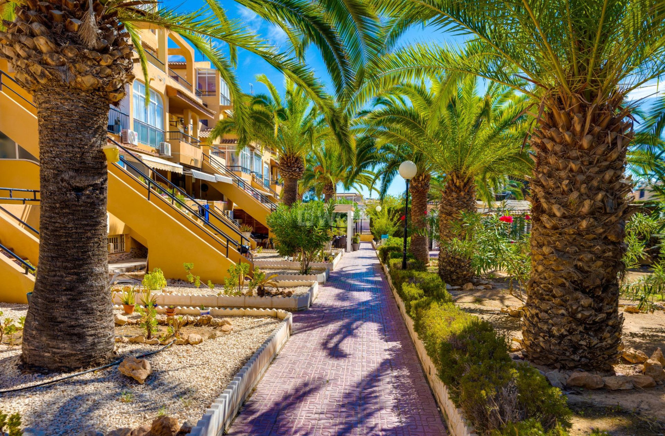 Wiederverkauf - Wohnung - Torrevieja - Torreblanca