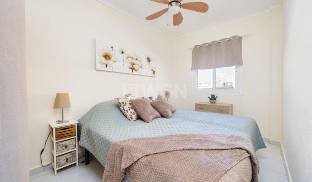 Wiederverkauf - Wohnung - Torrevieja - Torreblanca