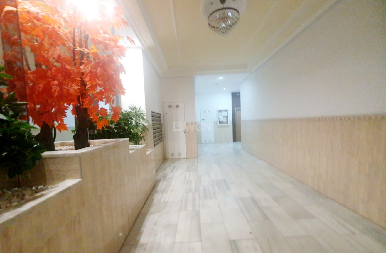 Wiederverkauf - Penthouse - Torrevieja - Costa Blanca