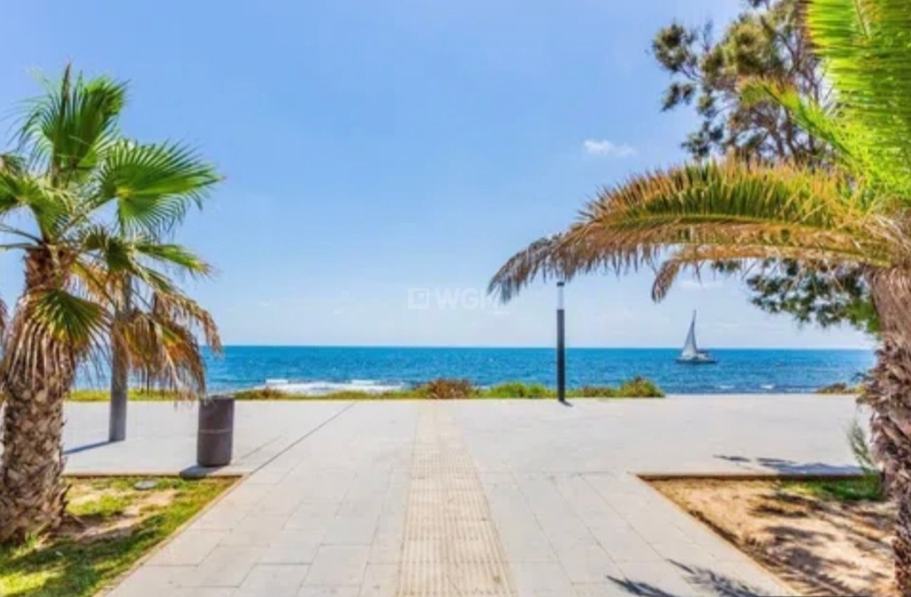 Wiederverkauf - Penthouse - Torrevieja - Costa Blanca