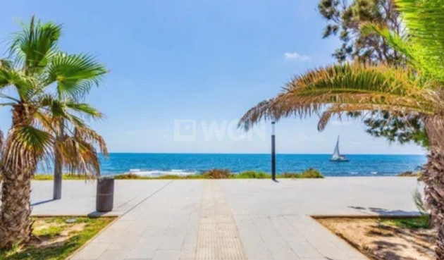 Wiederverkauf - Penthouse - Torrevieja - Costa Blanca