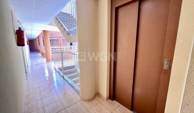 Resale - Apartment / flat - San Miguel de Salinas - Inland