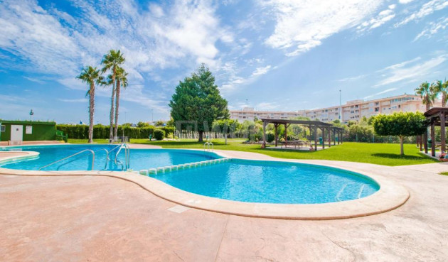 Wiederverkauf - Bungalow - Torrevieja - Costa Blanca