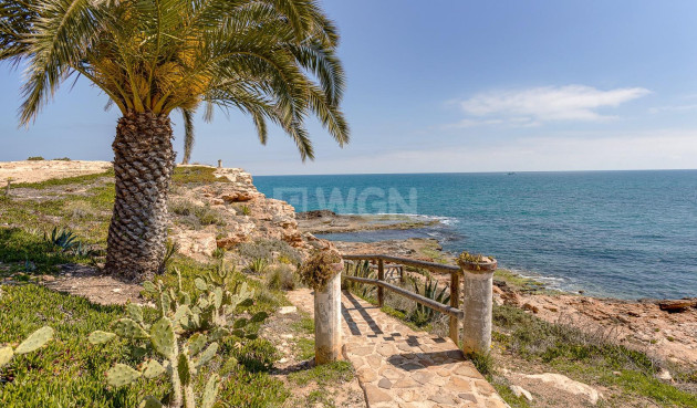 Wiederverkauf - Bungalow - Torrevieja - Los Frutales