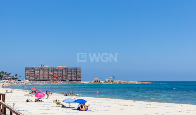 Wiederverkauf - Bungalow - Torrevieja - Los Frutales
