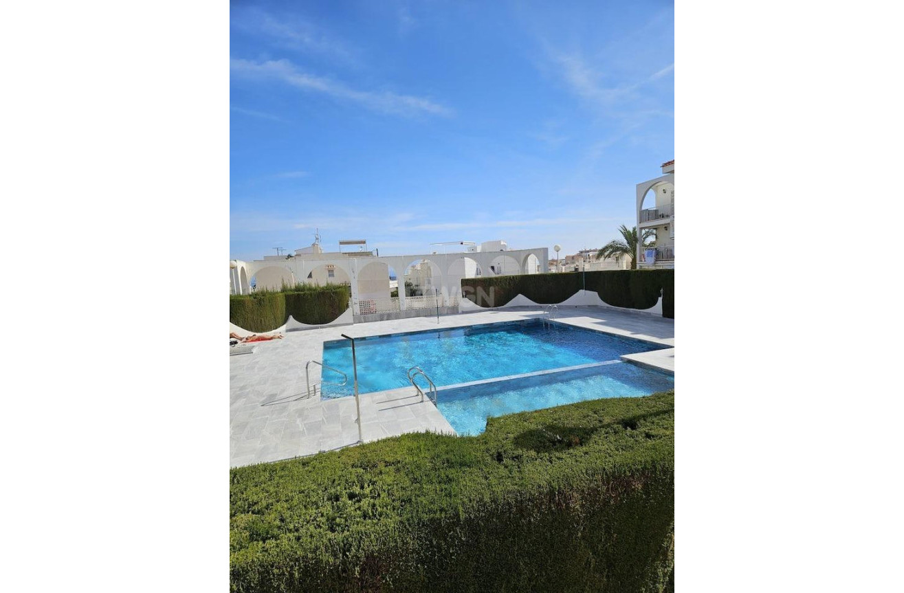 Reventa - Apartamento / piso - Torrevieja - Acequion