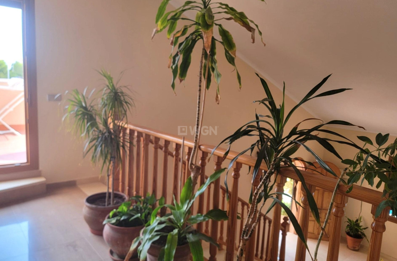 Wiederverkauf - Villa - Torrevieja - aguas nuevas