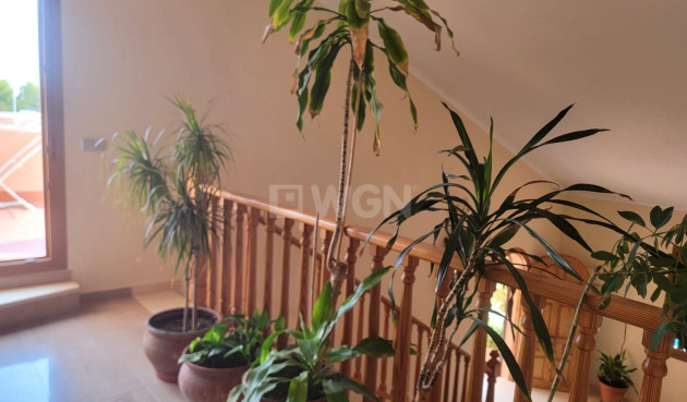 Wiederverkauf - Villa - Torrevieja - aguas nuevas