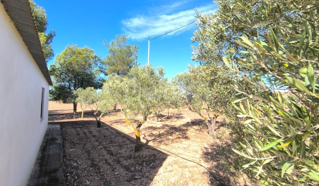 Odsprzedaż - Villa - Yecla - Inland