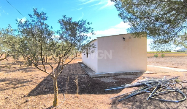 Odsprzedaż - Villa - Yecla - Inland