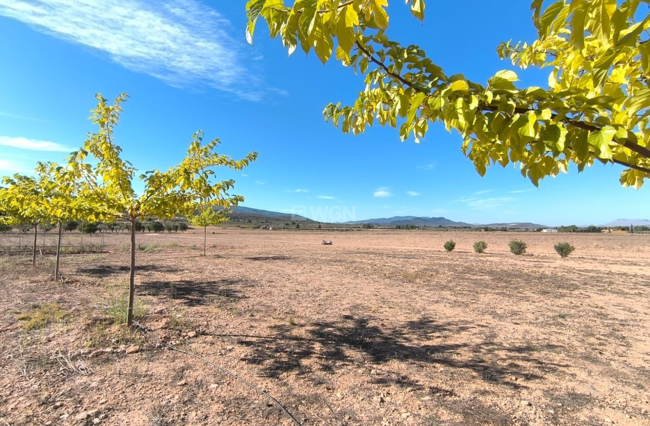 Odsprzedaż - Villa - Yecla - Inland