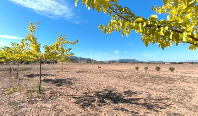 Odsprzedaż - Villa - Yecla - Inland