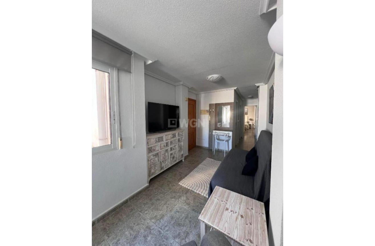 Odsprzedaż - Daszek - Torrevieja - Estacion De Autobuses