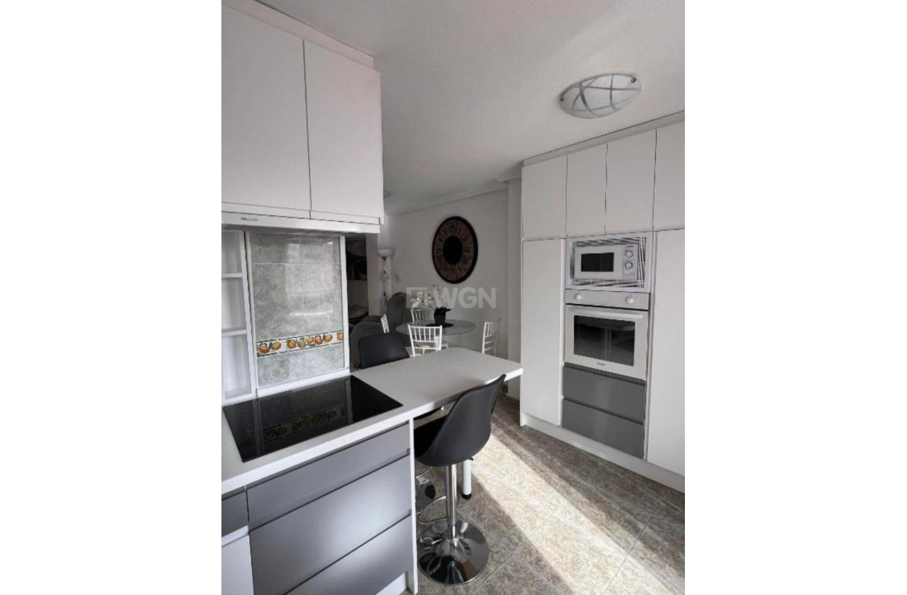 Odsprzedaż - Daszek - Torrevieja - Estacion De Autobuses