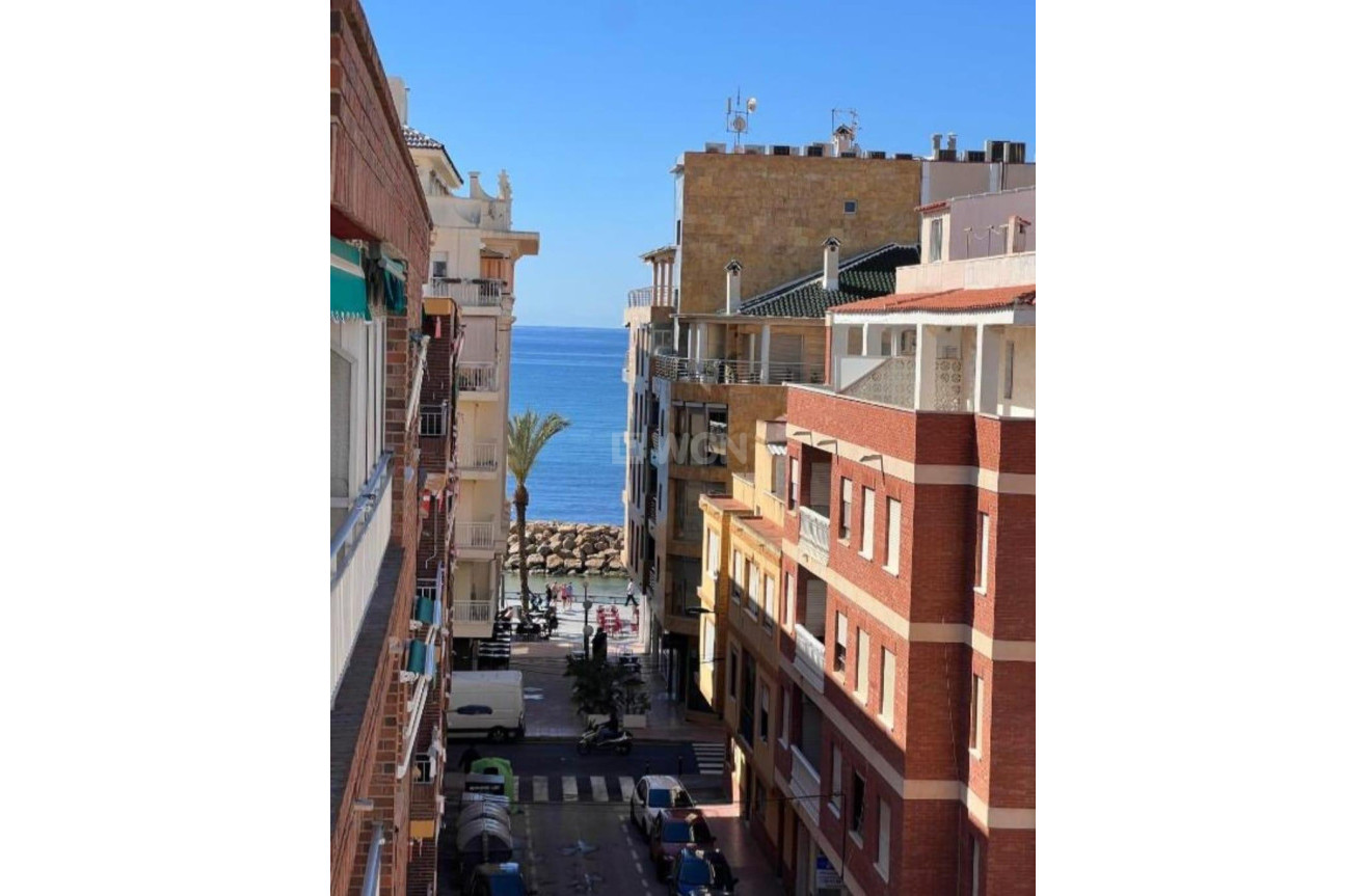 Odsprzedaż - Daszek - Torrevieja - Estacion De Autobuses