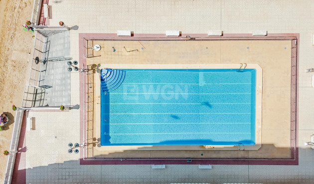 Reventa - Apartamento / piso - Torrevieja - Costa Blanca