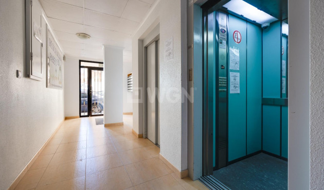 Reventa - Apartamento / piso - Torrevieja - El Molino