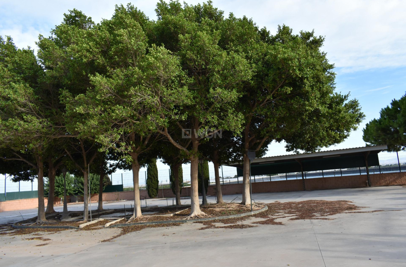 Odsprzedaż - Villa - Torre Pacheco - Dolores De Pacheco