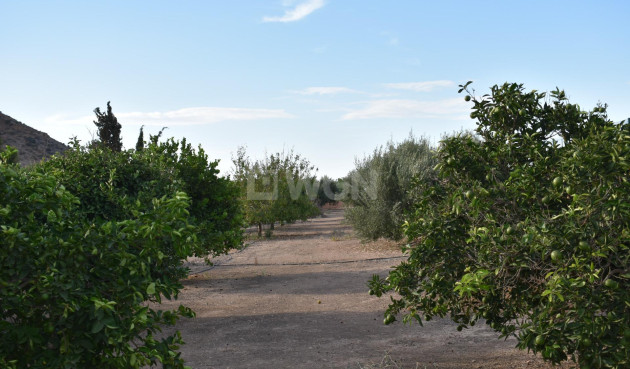 Odsprzedaż - Villa - Torre Pacheco - Dolores De Pacheco
