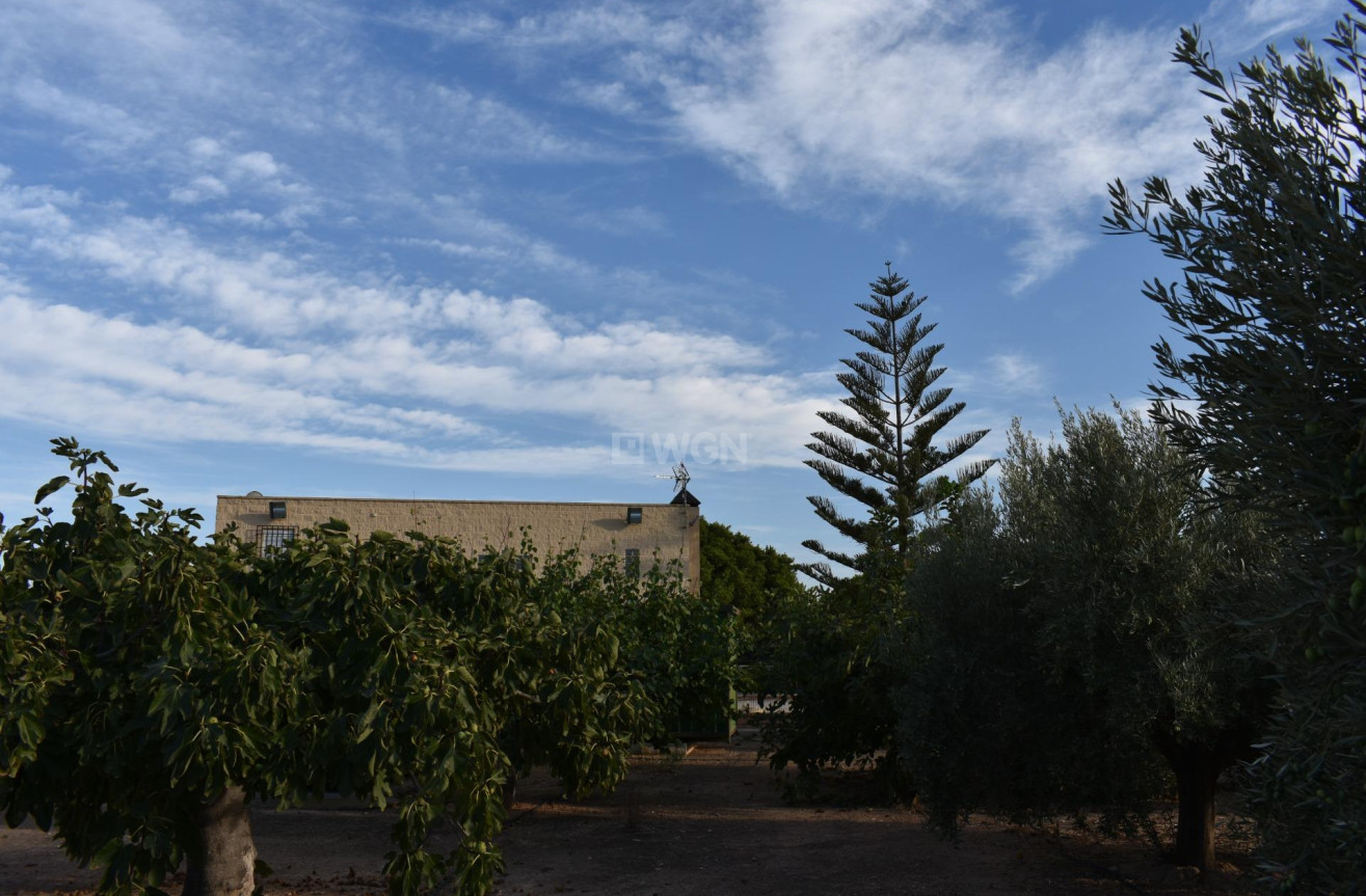 Odsprzedaż - Villa - Torre Pacheco - Dolores De Pacheco