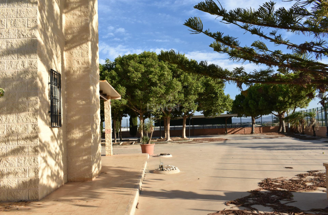 Odsprzedaż - Villa - Torre Pacheco - Dolores De Pacheco