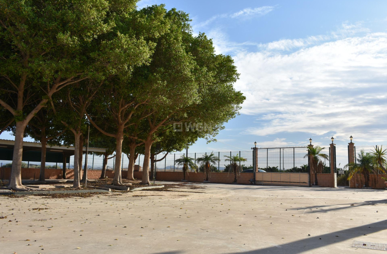 Odsprzedaż - Villa - Torre Pacheco - Dolores De Pacheco