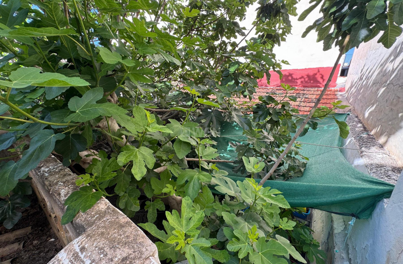 Reventa - Adosado - Benejúzar - Inland