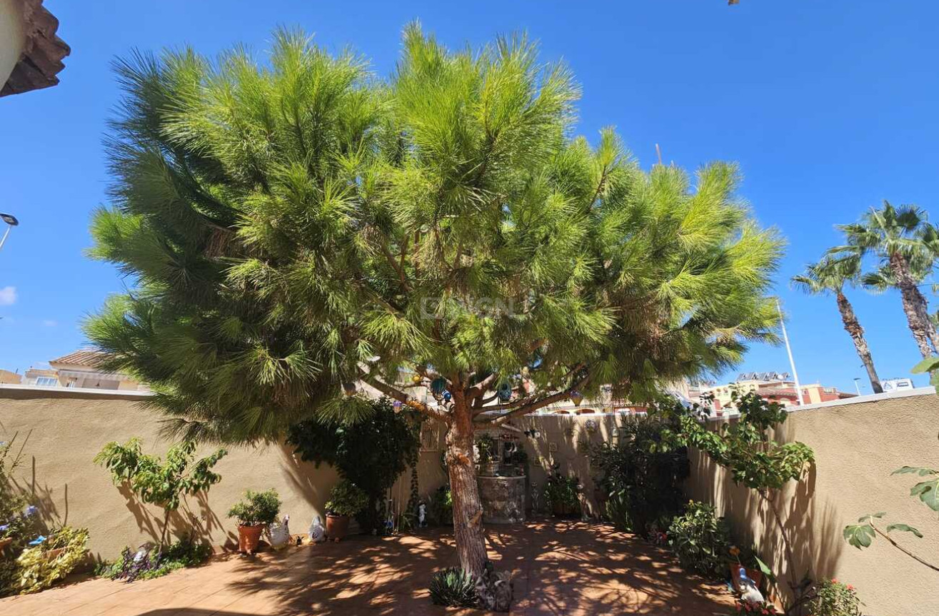 Wiederverkauf - Villa - Torrevieja - Torre Del Moro