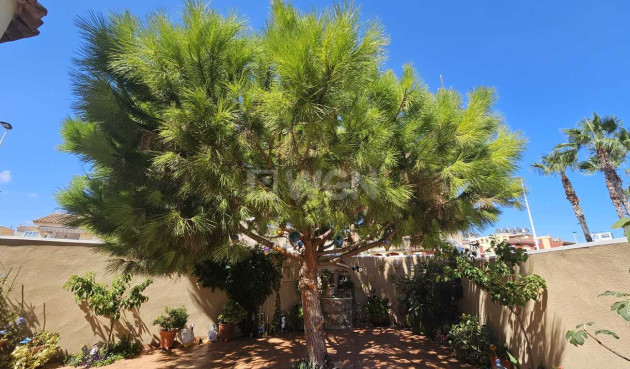 Wiederverkauf - Villa - Torrevieja - Torre Del Moro