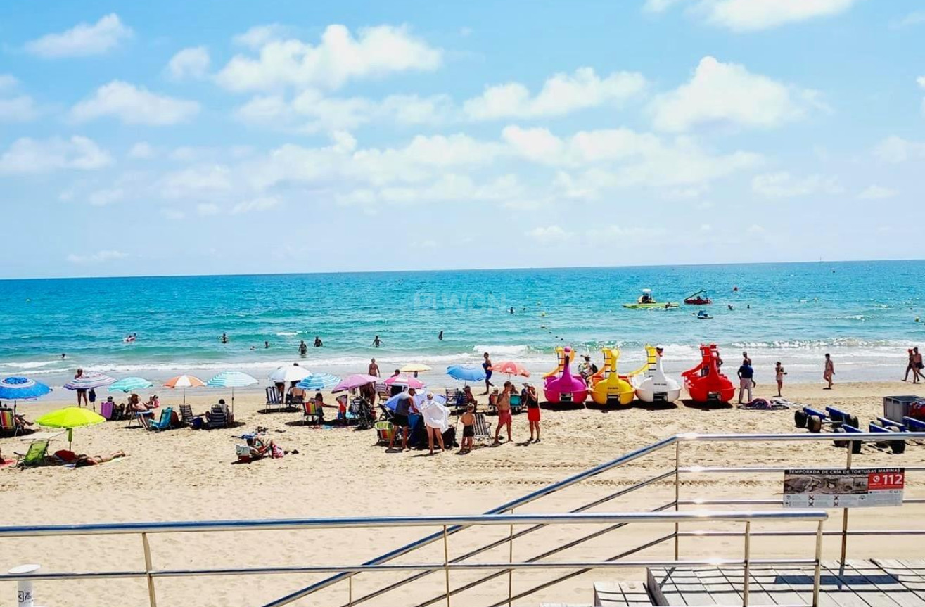 Wiederverkauf - Wohnung - Torrevieja - La Mata