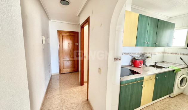 Resale - Penthouse - Torrevieja - El Molino