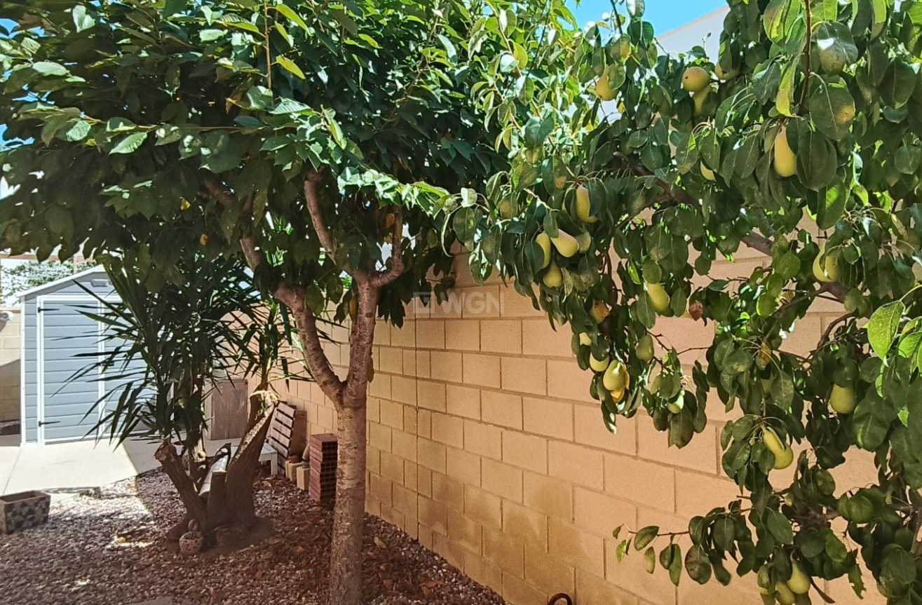 Resale - Villa - La Romana - Inland