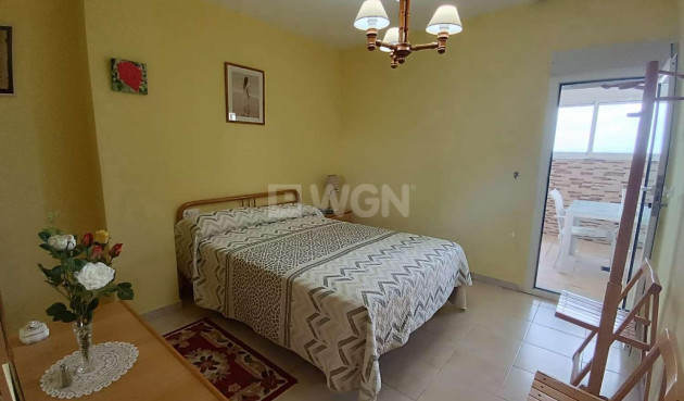 Wiederverkauf - Penthouse - Torrevieja