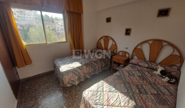 Reventa - Apartamento / piso - Benidorm - Costa Blanca