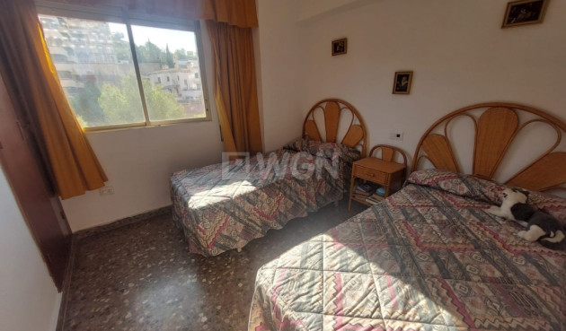 Reventa - Apartamento / piso - Benidorm - Costa Blanca