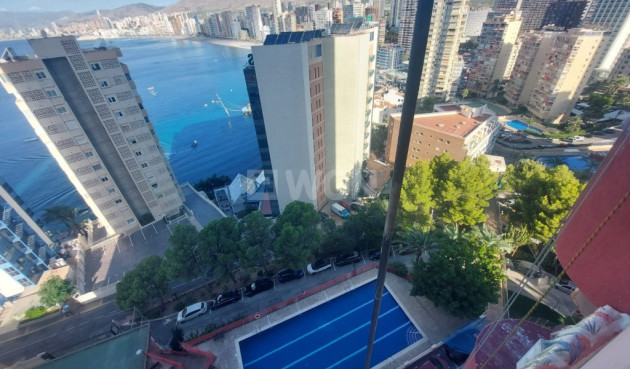 Reventa - Apartamento / piso - Benidorm - Costa Blanca